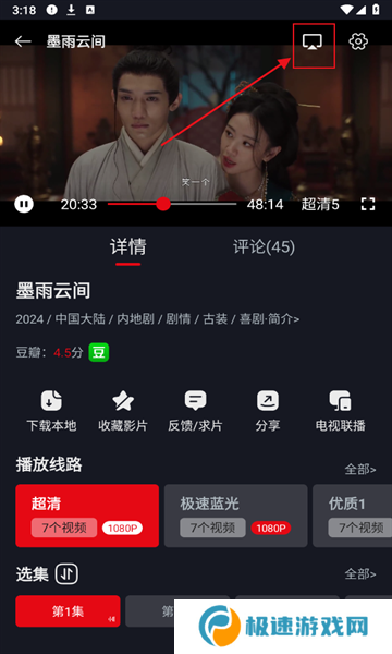 网飞猫