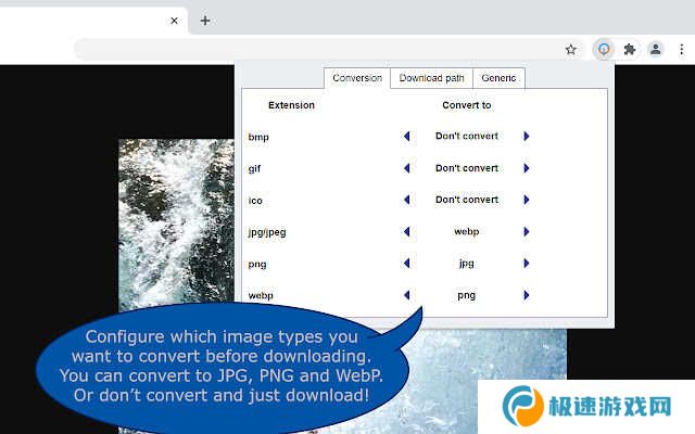 WebP image con