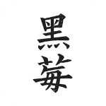 黑莓小说官方