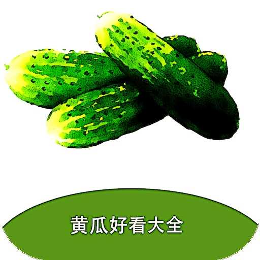 黄瓜阅读APP官方版下载
