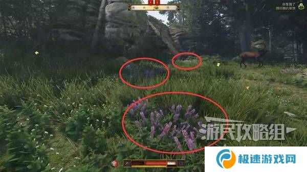 天国拯救2图文攻略大全   所有任务全流程攻略总汇图片29